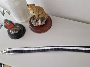 Black and White Stripe